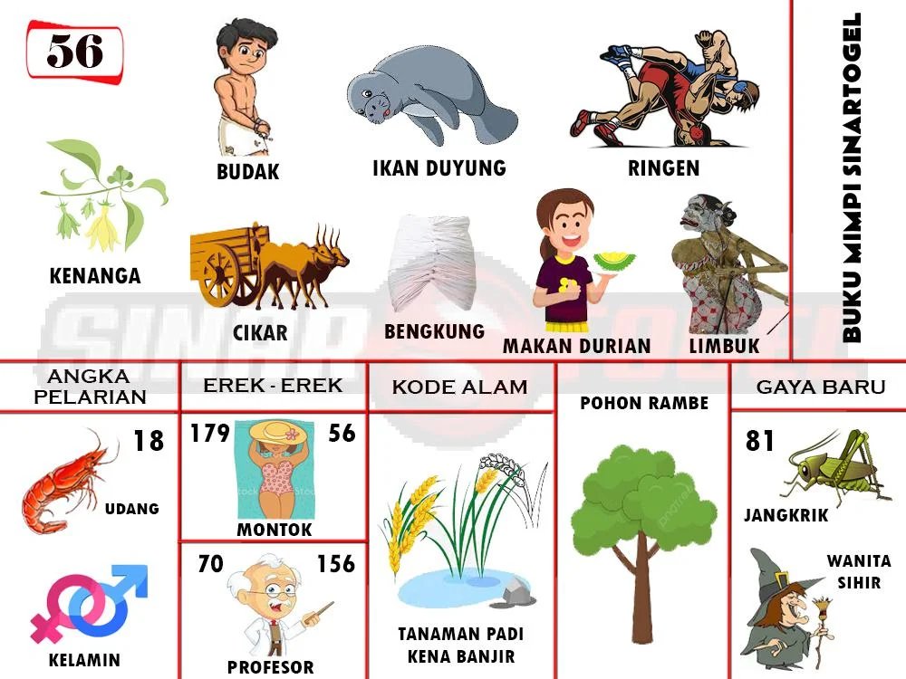 buku mimpi erek erek togel 56